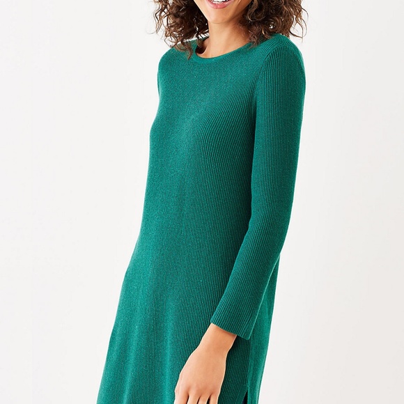 J.Jill XL NEW Cozy Crew-neck Long Sweater Tunic NWT - Picture 4 of 4